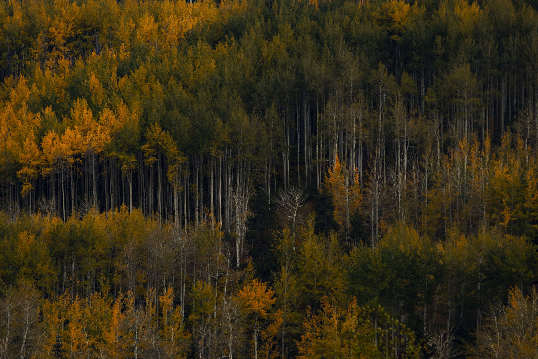 100219-news-fallcolors 25
